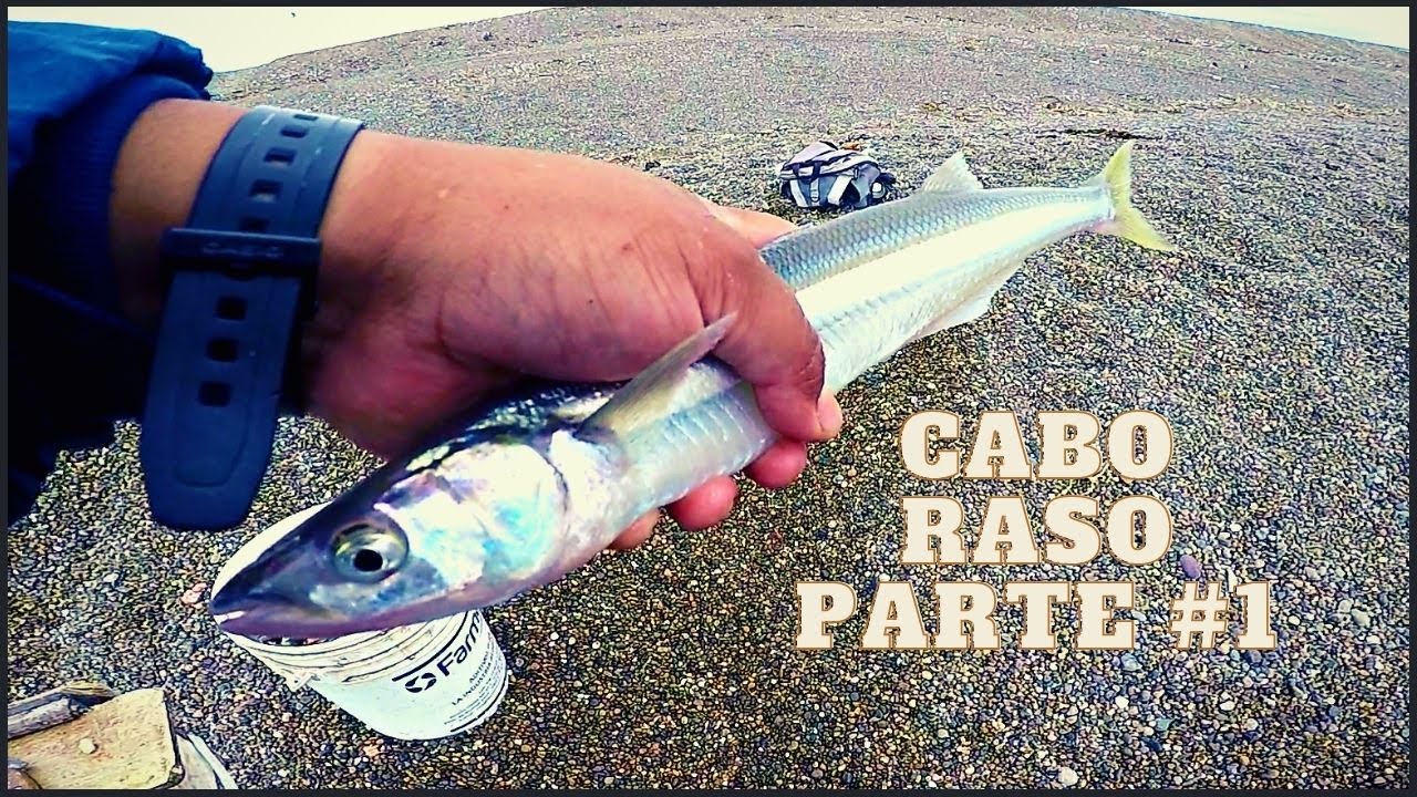 Pesca en Cabo Raso Parte Nro 1 - Pejerreyes Patagónicos - Chubut - ARG ***