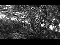 Fragments From Away