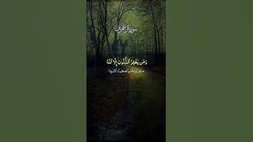 سورة عمران #اكسبلور #لايك #راحة_نفسية #قرآن ♥️🎧💡💡💡