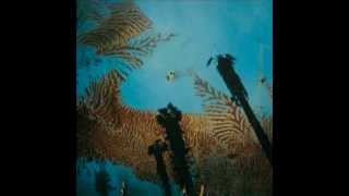 Nonato Coo - Niños del Cerro (Full Album)