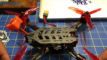 Omnibus & Typhoon review