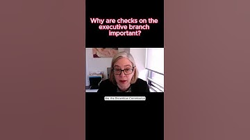 Why are checks on the executive branch important?