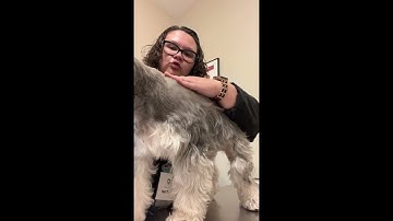 Penn Foster Vet Tech Externship Skill 24