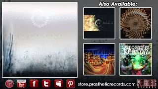 Video thumbnail of "Animals As Leaders - Weightless (Track Eleven - Weightless)"