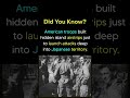 How US Troops Turned Jungle Islands into WWII Launchpads Against Japan #shorts #usa