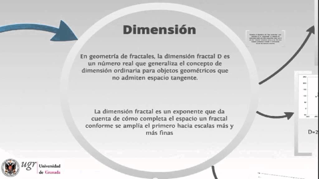 Trabajo sobre vuelos de Lèvy YouTube