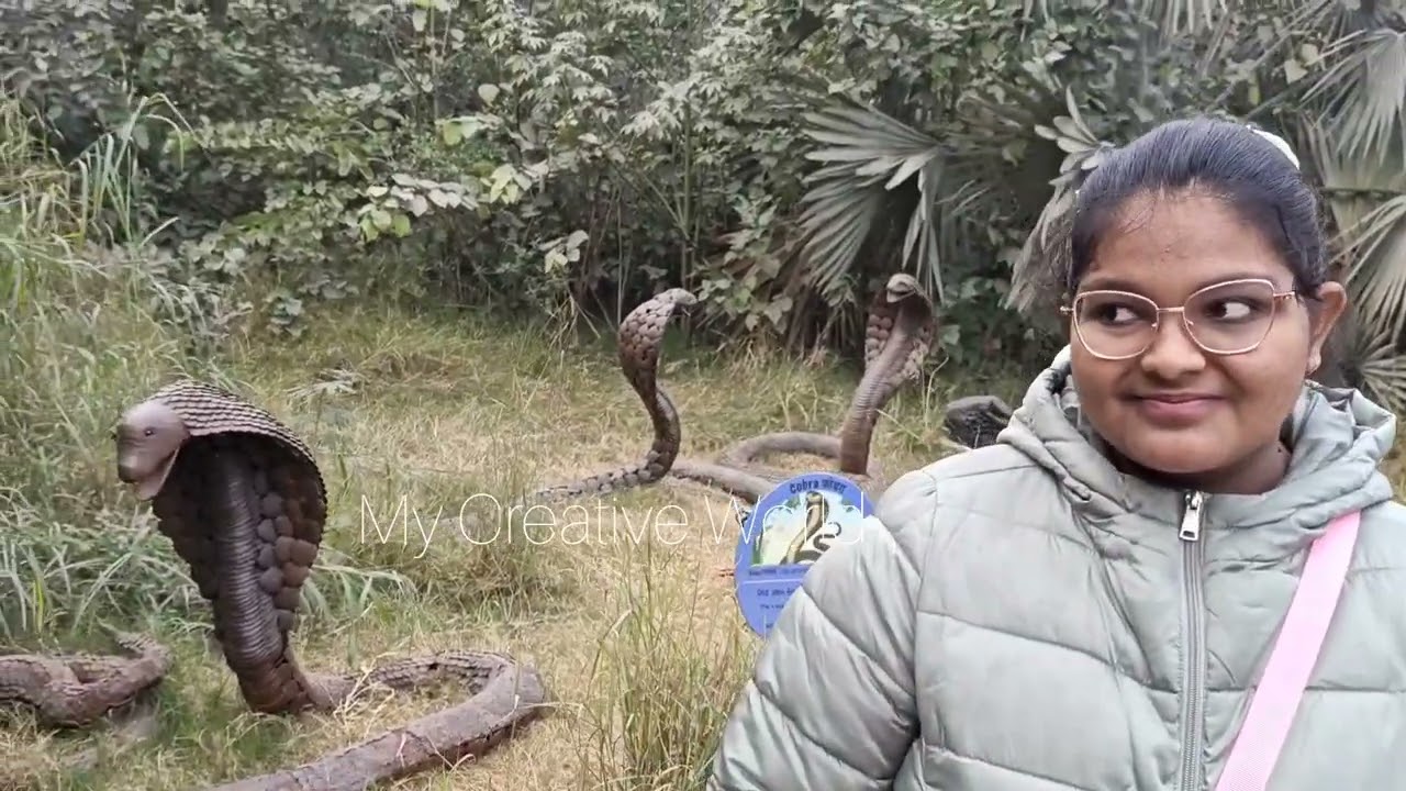 Amazing 😍 Tour Of Jungle Trail Park Noida 😍||New Amusement Park Jungle Trail||