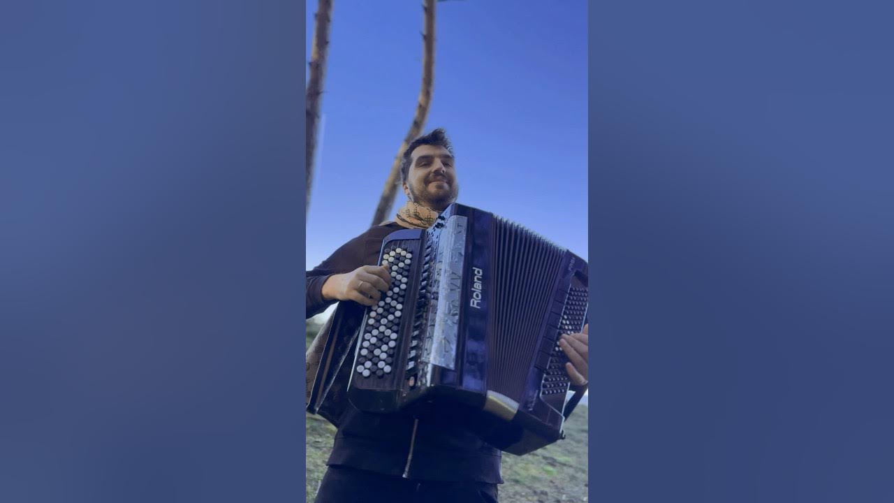 The Lion King - Can You Feel the Love Tonight #accordion #music #accordionplayer #cover #akordeon The Lion King - Can You Feel the Love Tonight #accordion #music #accordionplayer #cover #akordeon