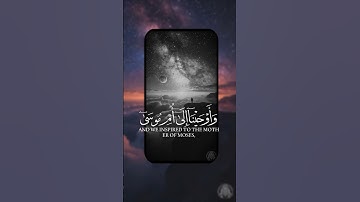 قرآن الكريم راحة نفسية #ياسر_الدوسري #قرآن #تلاوة_خاشعة #قرآن_كريم #راحة_نفسية #تدبر #خشوع