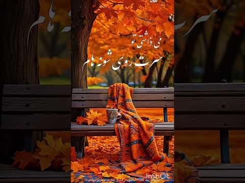 اینم تقدیم به تمام عشقولی ها