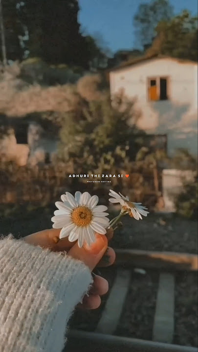 Titli Song | Aesthetic Status | Whatsapp Status Video |