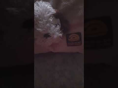 بدأت قناة عا لم نونا بث ا مباشر نقول الحمد لله على كل حال بصلي علي النبي صلي الله عليه وسلم 