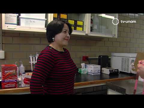 Video: ¿Cuáles son las enfermedades comunes del lúpulo? Consejos para tratar los problemas de las plantas de lúpulo