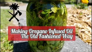 Herbal Medicine: Oregano Infused Oil