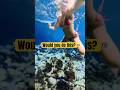 Swimming into a cave in Ibiza #oceanadventure #boat #underwater #insta360