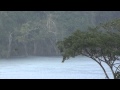 Sons da Natureza, Chuva de verão, Floresta amazônica, meditação, contemplação, relaxamento