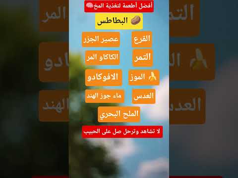 أفضل الأطعمة لتغذية المخ اكسبلور نصائح معلومات تغذية