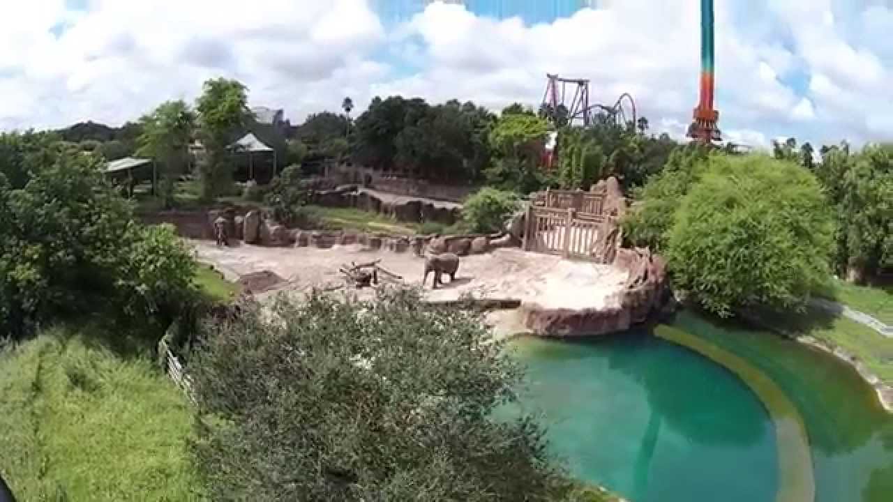 safari swing busch gardens