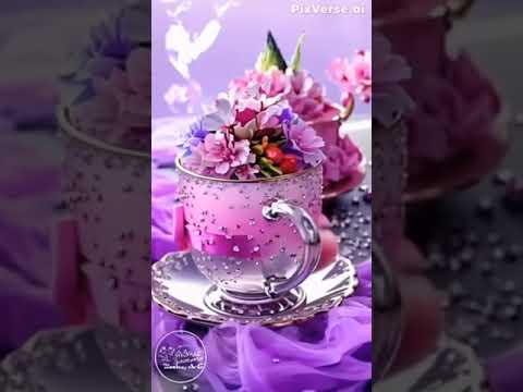 ٢٦ فبراير ٢٠٢٥