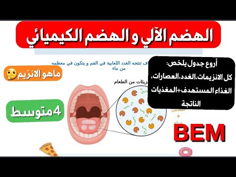 الهضم الآلي والكيميائي الإنزيم وخصائصه جدول تلخيصي للانزيم الغذاء المستهدف المغذيات ناتجة سنة 4متوسط