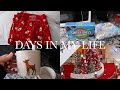 days in my life | early Christmas shopping, decor haul, Dunkin run, cozy days at home, etc
