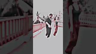 Harrdy Sandhu and Palak Tiwari dance  palaktiwari hardysandhu ytshorts