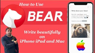 How to Use Bear App to Write on iPhone | Bear App screenshot 2