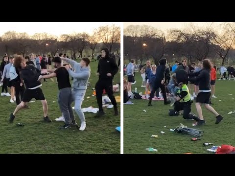 Scotland: Brawl in Edinburgh park as police officer reportedly injured