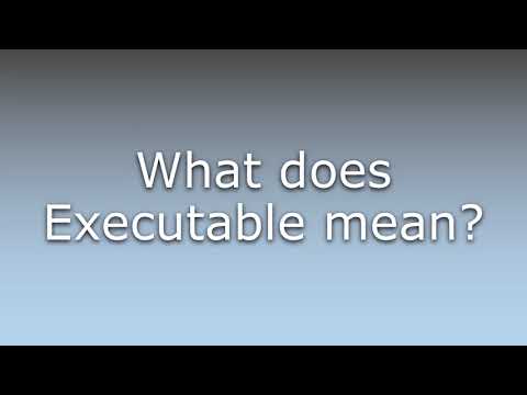 What does Executable mean?