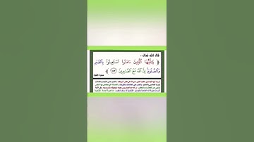 سورة البقرة اية(١٥٣)