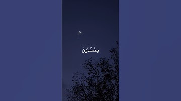 ماتيسر من سورة النساء - القارئ ياسر الدوسري
