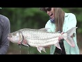 The african tiger   capt jack productions fly fishing film tour 18 trailer