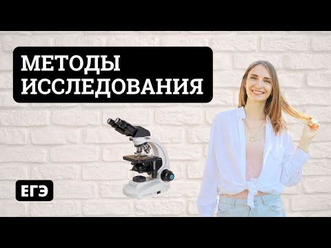 Методы исследования