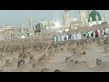 Jannatul baqi madina manwara