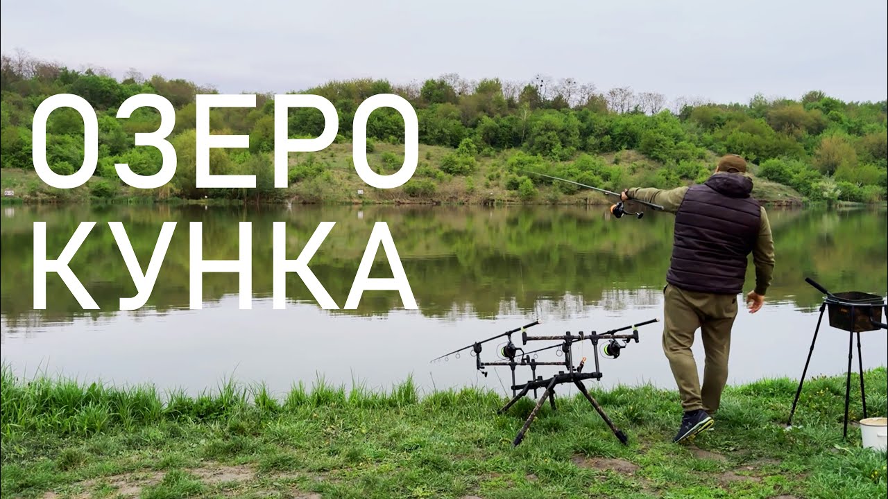 Найкращий відпочинок для коропятника