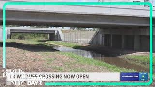 Wildlife crossing opens on I-4 in Polk County