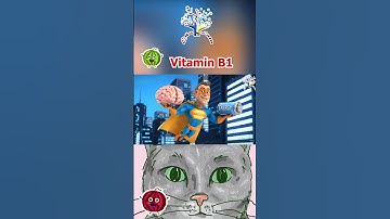 Thumbnail of The Thiamine Song || Vitam B1 | EduFam Kids Song and Nursery Rhymes