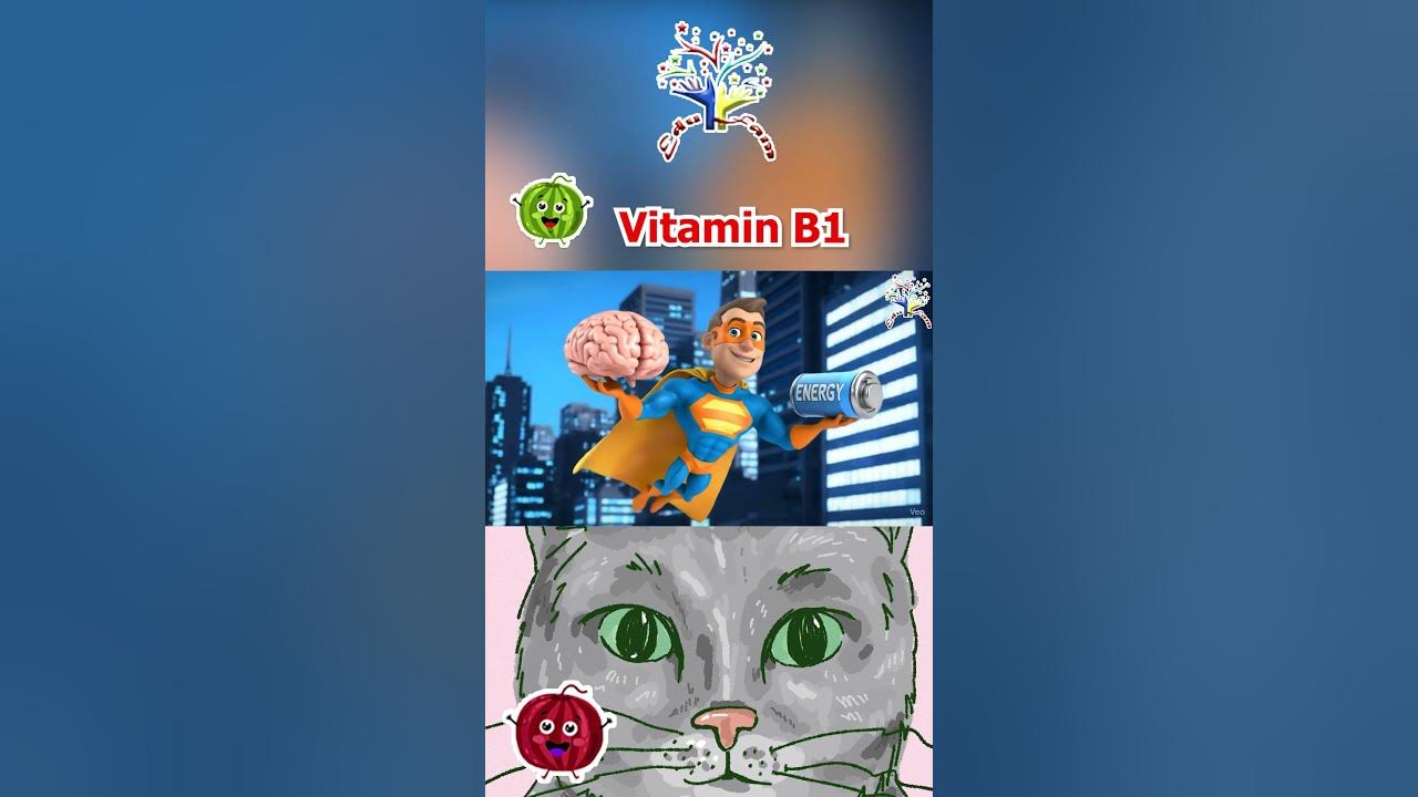 The Thiamine Song || Vitam B1 | EduFam Kids Song and Nursery Rhymes
