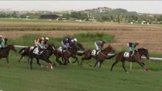 Vidéo de la course PMU GRAND PRIX DE LA CARAIBE CAP NORD