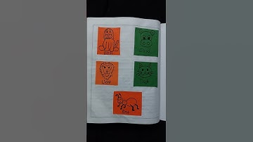 "Super senses" , EVS lesson plan, class 5 #deled #lessonplan #teacher