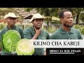 KILIMO BORA CHA KABICHI CABBAGE Tanzania Tumia Mbegu Bora Za RIJK ZWAAN SWINGMA F1 NA TACOMA F1
