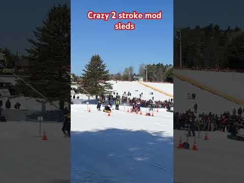 Crazy 2 stroke Mod sleds