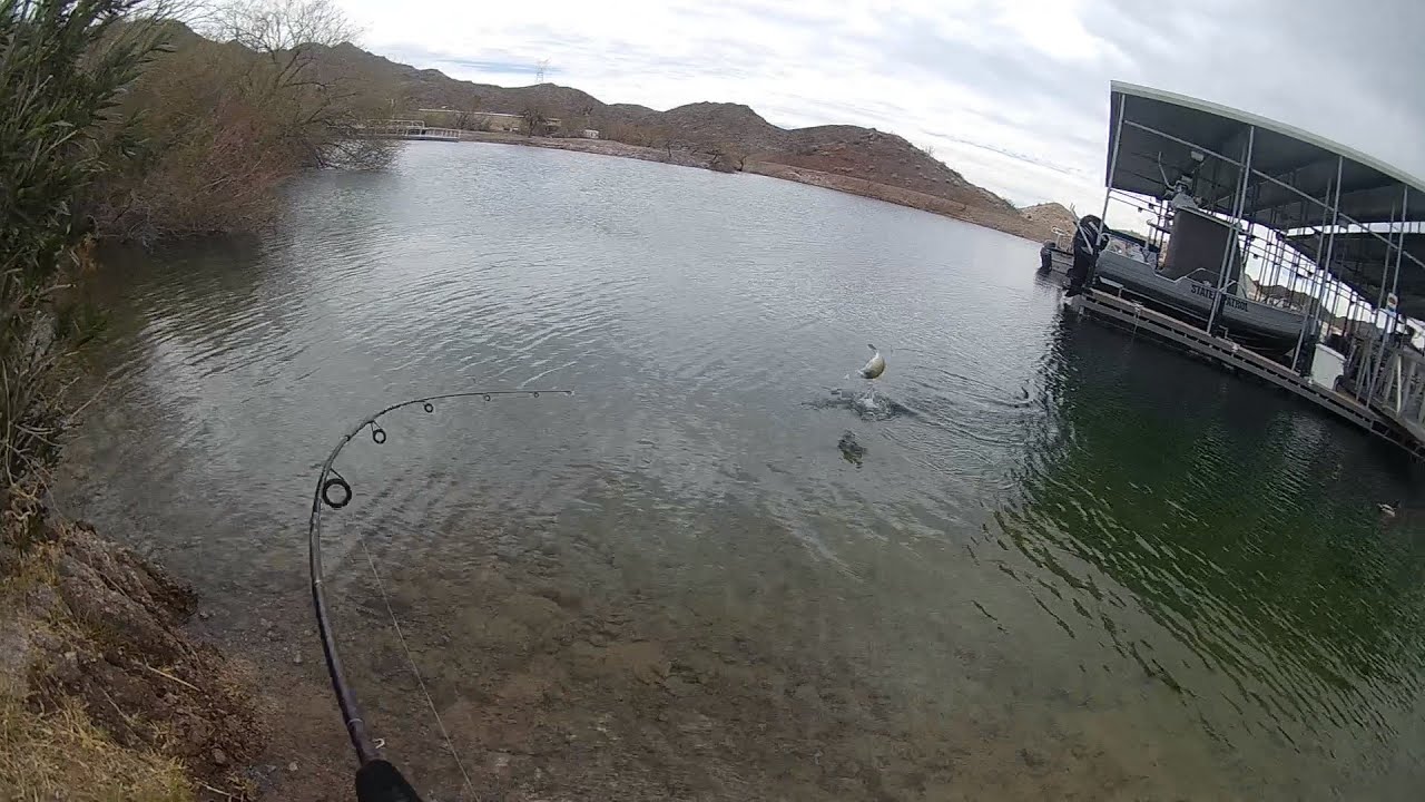 FINALLY Catching This Big Smallmouth During Spawn! YouTube