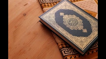 القران الكريم / سورة الناس / بصوت القارئ رعد محمد الكردي