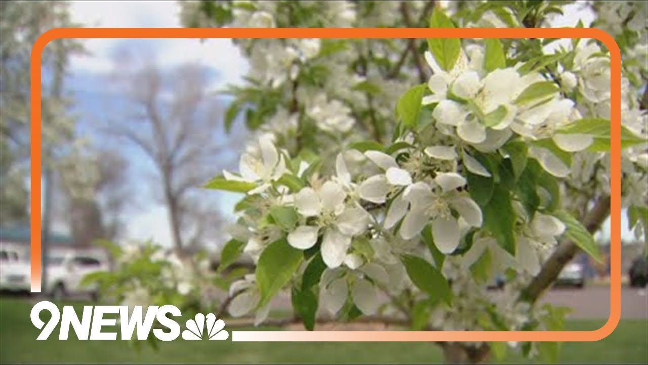 Environmental impacts on our health