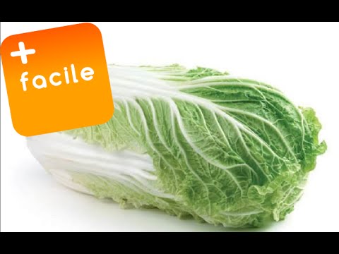 Vidéo: Comment Faire Cuire Une Salade Grecque Avec Du Chou Chinois