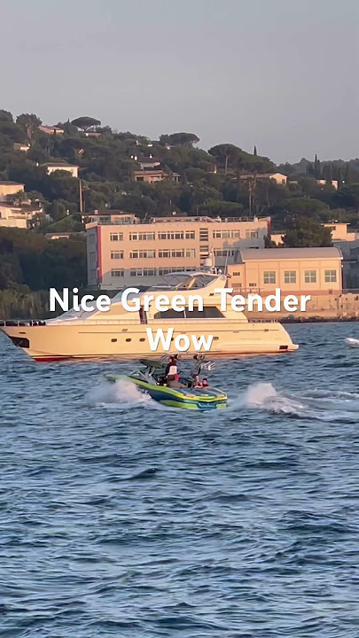 Download lagu Nice Green Tender #trending #viralvideo #travel #summer #season #adventure #tender #1000subscriber