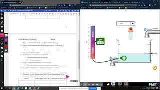 Acids & Bases Simulation