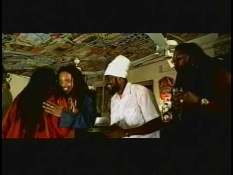 Damian Marley-Still searching