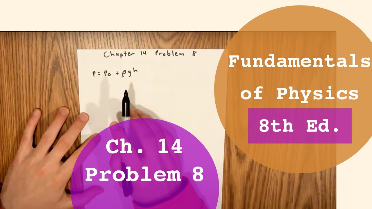 Fundamentals Of Physics 8th Edition Solutions